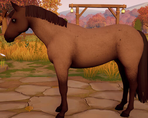 Bay Roan