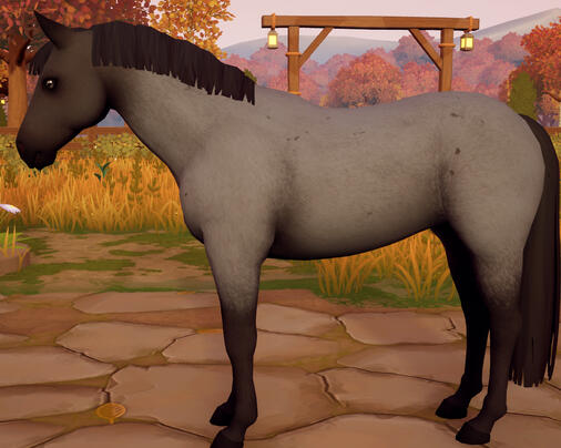 Grey Roan