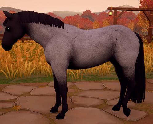 Blue Roan