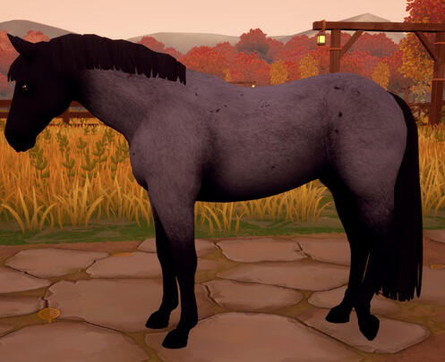 Black Roan