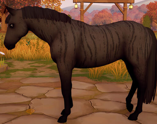 Brindle 03