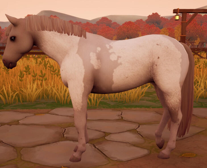 Cremello Roan (noWhite)