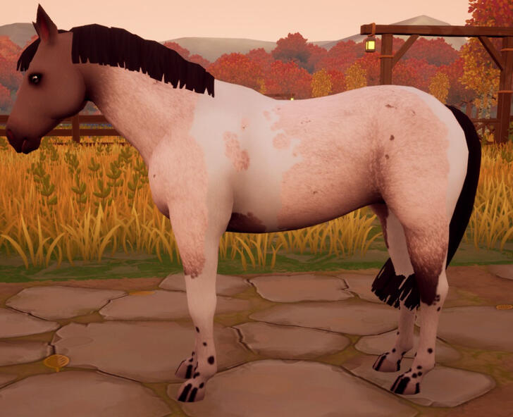 Amber Roan (Standard)