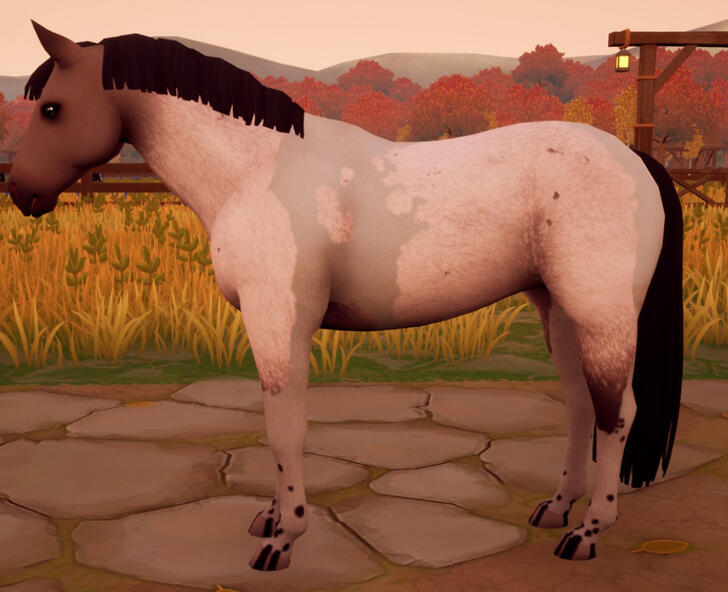 Amber Roan (noWhite)