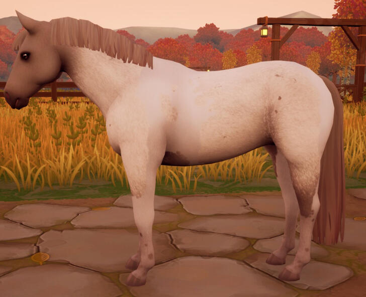 Cremello Roan (Standard)