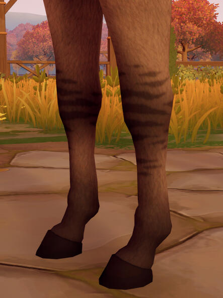 Frontlegs