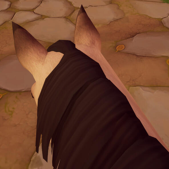Eartips