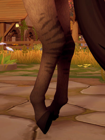 Hindlegs