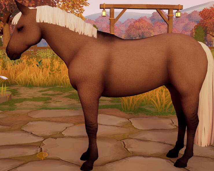 Chocolate Dunalino