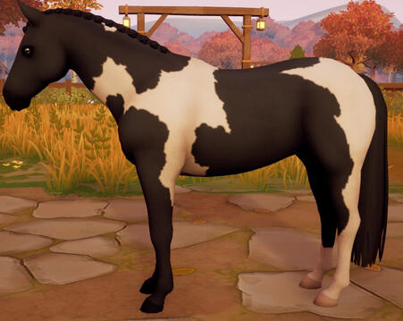 Tobiano05