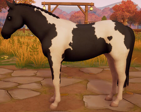 Tobiano03