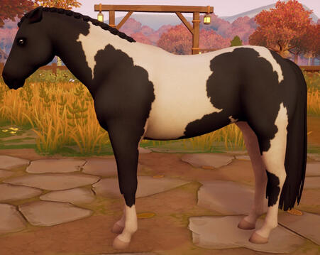 Tobiano04