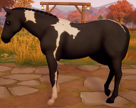 Tobiano08