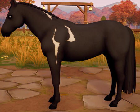 Tobiano09