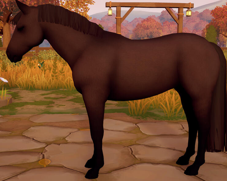 Chocolate Smokey Black
