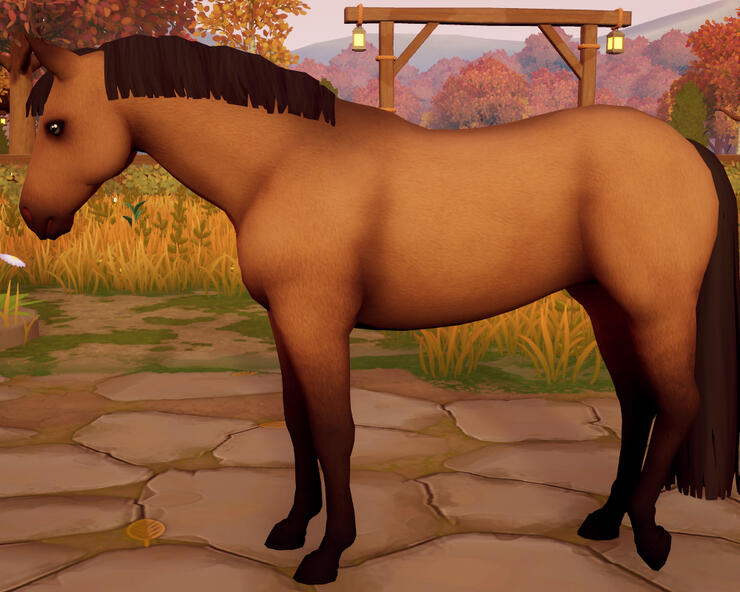 Dark Buckskin