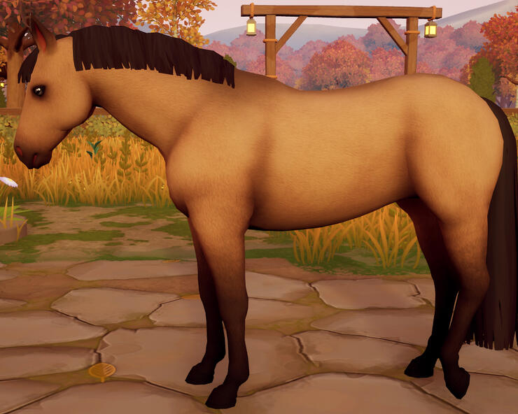 Buckskin