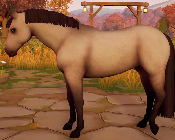 Buttermilk Buckskin
